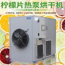 高效節(jié)能的果蔬烘干機(jī) 檸檬片、藍(lán)莓、芒果、檳榔等水果干制作利器